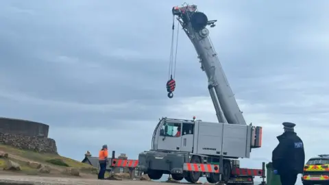 Crane at Corbiere