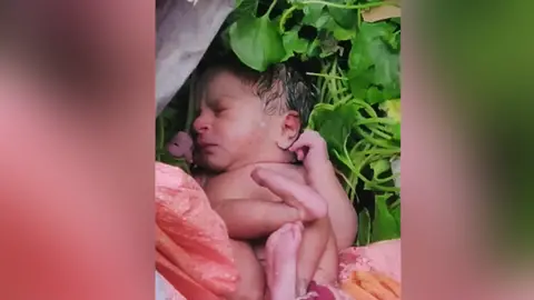 Camera photo of a newborn baby nestled in some bushes