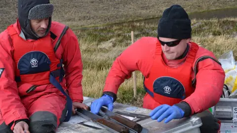 Dominic Hodgson/BAS The mud cores themselves are only about 40cm in length