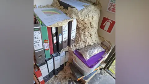 A wasp nest inside Eilish Rothney's office in Ormesby St Michael in Norfolk. The nest is in the corner of the office and has taken over a book shelf with a number of ring binders on it.
