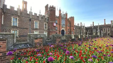 Tom O'Leary Hampton Court Palace