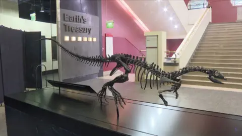 A mounted Enigmacursor dinosaur skeleton displayed in glass box, with a sign reading "Earth's Treasury" in the background.