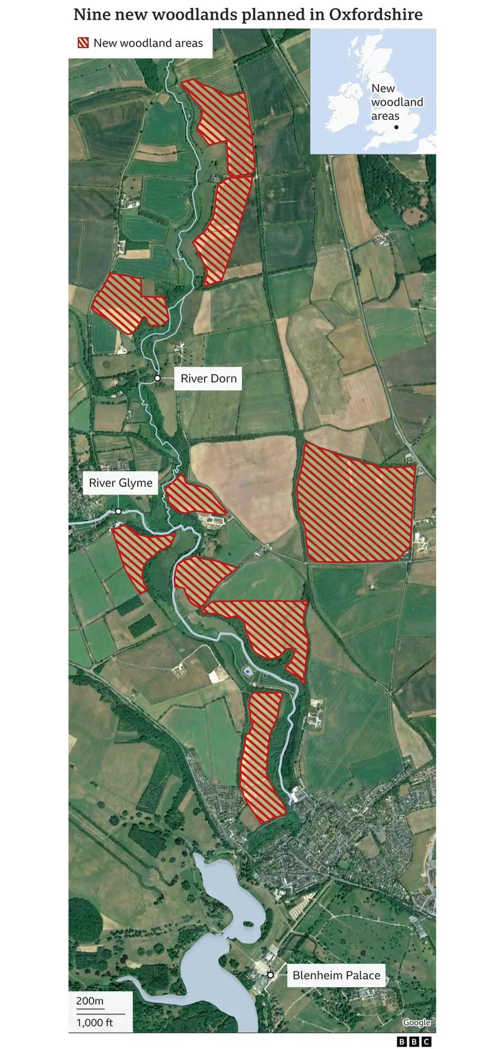 Nine new woodlands planned in Oxfordshire