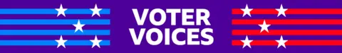 Reading graphics "Voice of voters" 