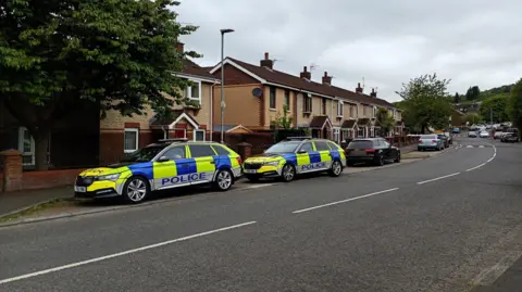 Two police cars are seen parked in a layby beside a road close to a number of houses. A number of other cars are also visible in the background