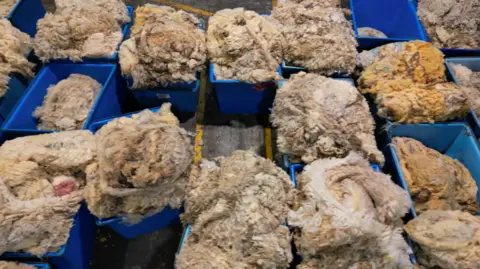 Wool in piles and baskets 