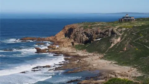 Reuters A jagged coastline by the sea. Tarpaulin is just visible behind a ridge, indicating the location of the dig site