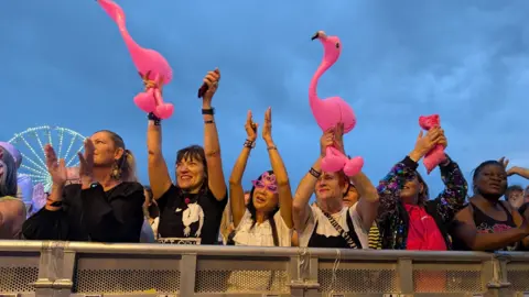 Fans at the 2025 Godival Festiva watch headliner Marc Almond perform. They are waving inflatable pink flamingos, with a woman in the centre pf the picture also wearing a pair of pink novlety glasses.