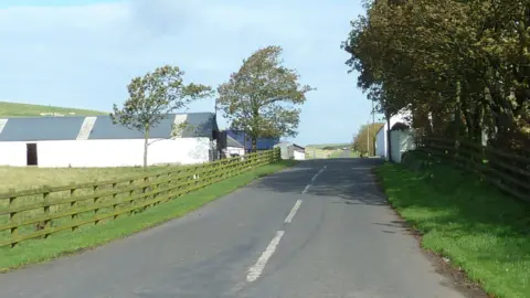 A road leading to a whitewashed farm building with trees surrounding it