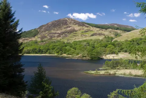 Getty Images A hillside in Galloway with trees growing around a loch on a blue-sky day