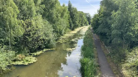 A canal with reeds and water plants. There is a concrete towpath on the right and trees on both sides.