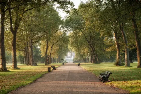 Hyde Park. A tree lined path with benches on each side runs straight through the park.