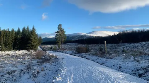 Snow at Insh