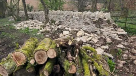 National Highways Incomplete drystone wall with a pile of mossy logs in the foreground.