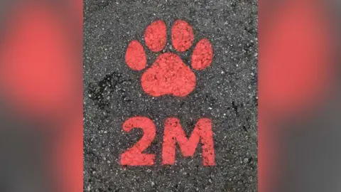 ZSL Zoo paw print sign