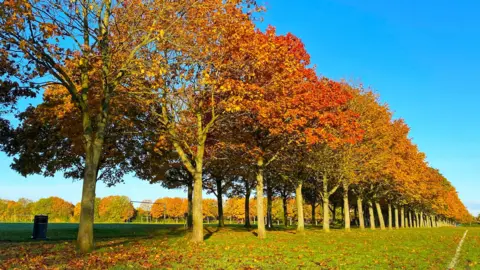 Jenna Maryniak Werrington Fields 