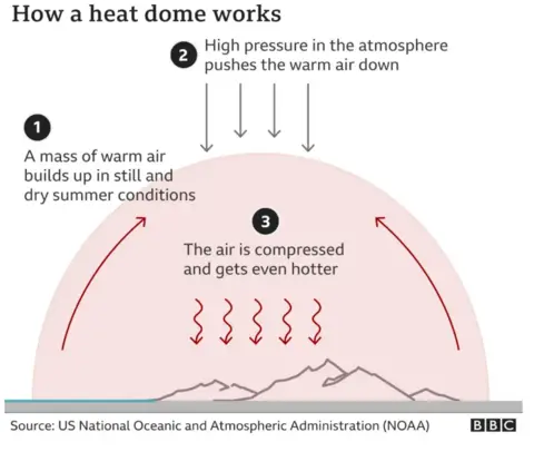 Image explaining how a heat dome works.  1) A mass of warm air accumulates in dry, still summer conditions.  2) High pressure in the atmosphere pushes warm air down.  3) The air is compressed and becomes even hotter