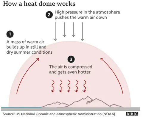 Image explaining how a heat dome works. 1) A mass of warm air accumulates in dry, still summer conditions. 2) High pressure in the atmosphere pushes warm air down. 3) The air is compressed and becomes even hotter