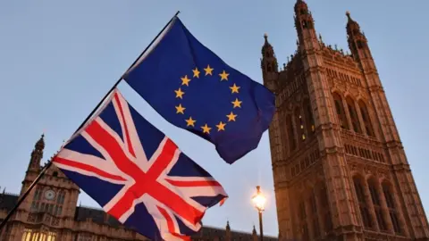 AFP Westminster and flags