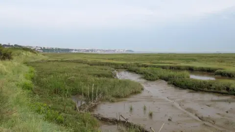 Roger Jones/Geograph Mudlfats at Leigh-on-Sea