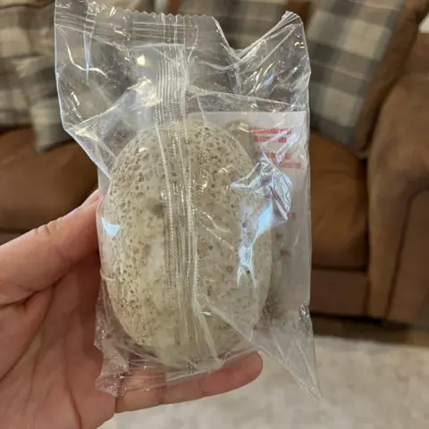 A Let's Dig Out Dinosaur Egg toy. It is a sandy white colour in the shape of an egg. It is pictured inside a plastic bag. 