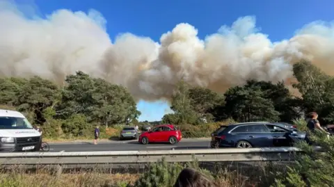 Eleanor Kemp A group of vehicles on a road, next to smoke rising up behind trees. The cars are parked on a dual carriageway. There are several people standing in the road.