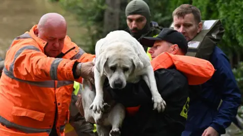 Getty Images A dog being carried by Polish rescuers