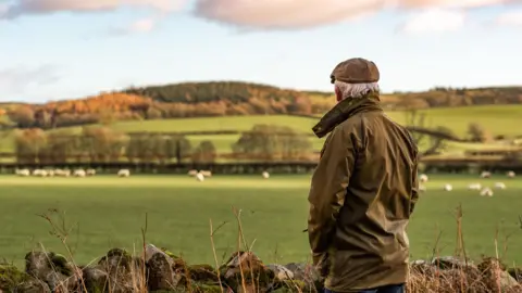 Getty Images A man with his back to camera wearing a brown waxed jacket and flat tweed cap looking across a field, which is blurred but has sheep in