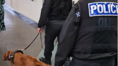 Devon and Cornwall Police Skye the drugs dog at a Plymouth college