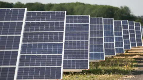 PA Media Rows of solar panels in a field. The panels are black and grey. There are trees in the background of the image.