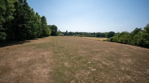 A drought-stricken field in Surrey during the fourth summer heatwave.