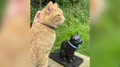 Faye Moore Teddy the cat near a memorial