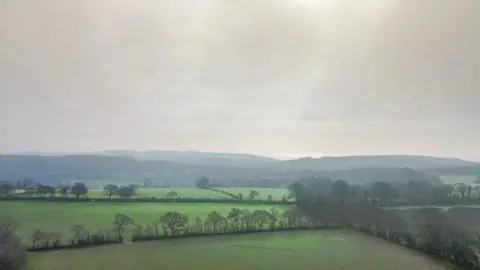Green fields bordered by trees at the proposed development site with the south coast visible in the distance.