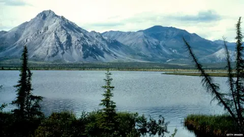 Getty Images Arctic National Wildlife Refuge