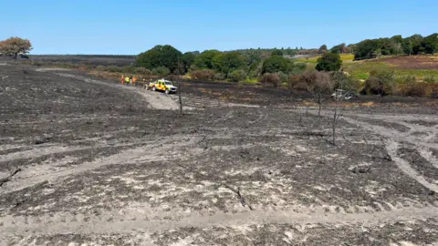 HIWFRS A31 heathland fire