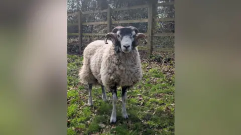 The Mercian Regiment Private Derby standing in a field