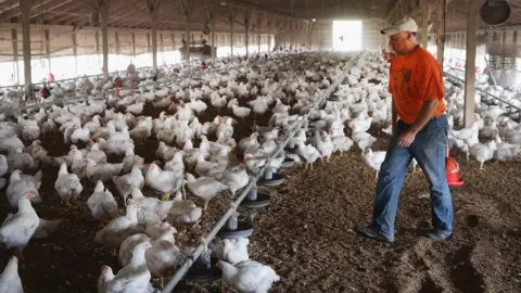 Getty Images US poultry farmer