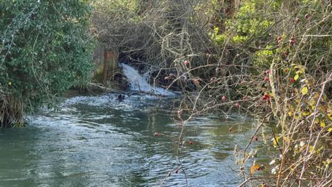 Outflow of sewage in Fairford