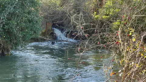 BBC Outflow of sewage in Fairford