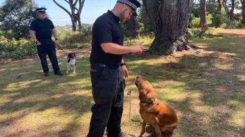 Brodie Owen Police officer demonstrates how to control a dog