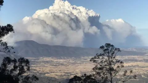 DANIEL STRICKLAND A view of the fire at Bemboka on the New South Wales south coast.