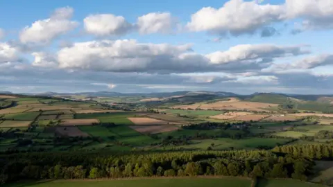 A picture of the Shropshire hills with fields of brown and green dotted in the distance, surrounded by trees and bushes. In the very distance are hills. The sky is blue with white and grey fluffy clouds. 