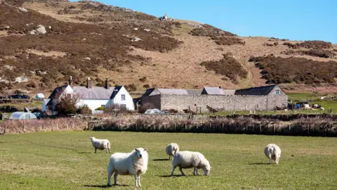 Amanda Ruggeri Houses on Bardsey Island