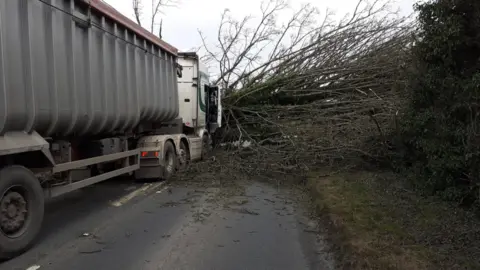 Wiltshire Council Fallen tree on lorry