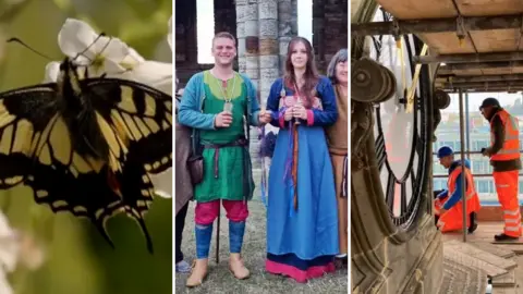 A yellow and black swallowtail butterfly - a couple in Viking costumes - two workmen in high-vis fixing a clock in a ower 