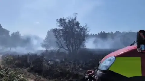 HIWFRS A scene of the damage caused by a wildfire in heathland, with a fire engine in the right foreground.