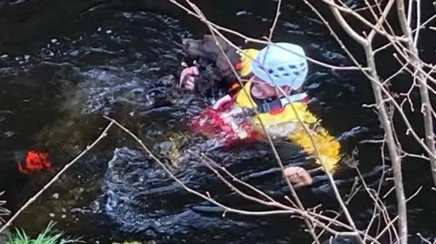 Cave Rescue Organisation A cave rescue volunteers wearing a red hard hat, fluorescent yellow jacket with a red life vest and black waterproof trousers floats in a river, holding a brown dog. 