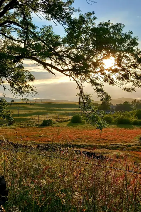 Elaine Scott The sun appearing through the trees after a rainy afternoon in Dunscore