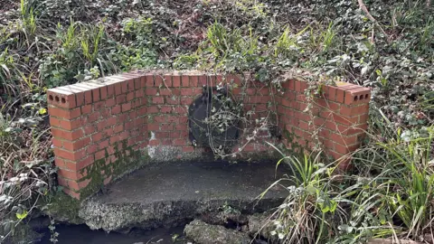 George Carden/BBC The sewage pipe pictured on March 25 with toilet paper gone from the area
