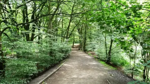 Christine Johnstone/Geograph A pathway running through woodland with surrounding tress and bushes.